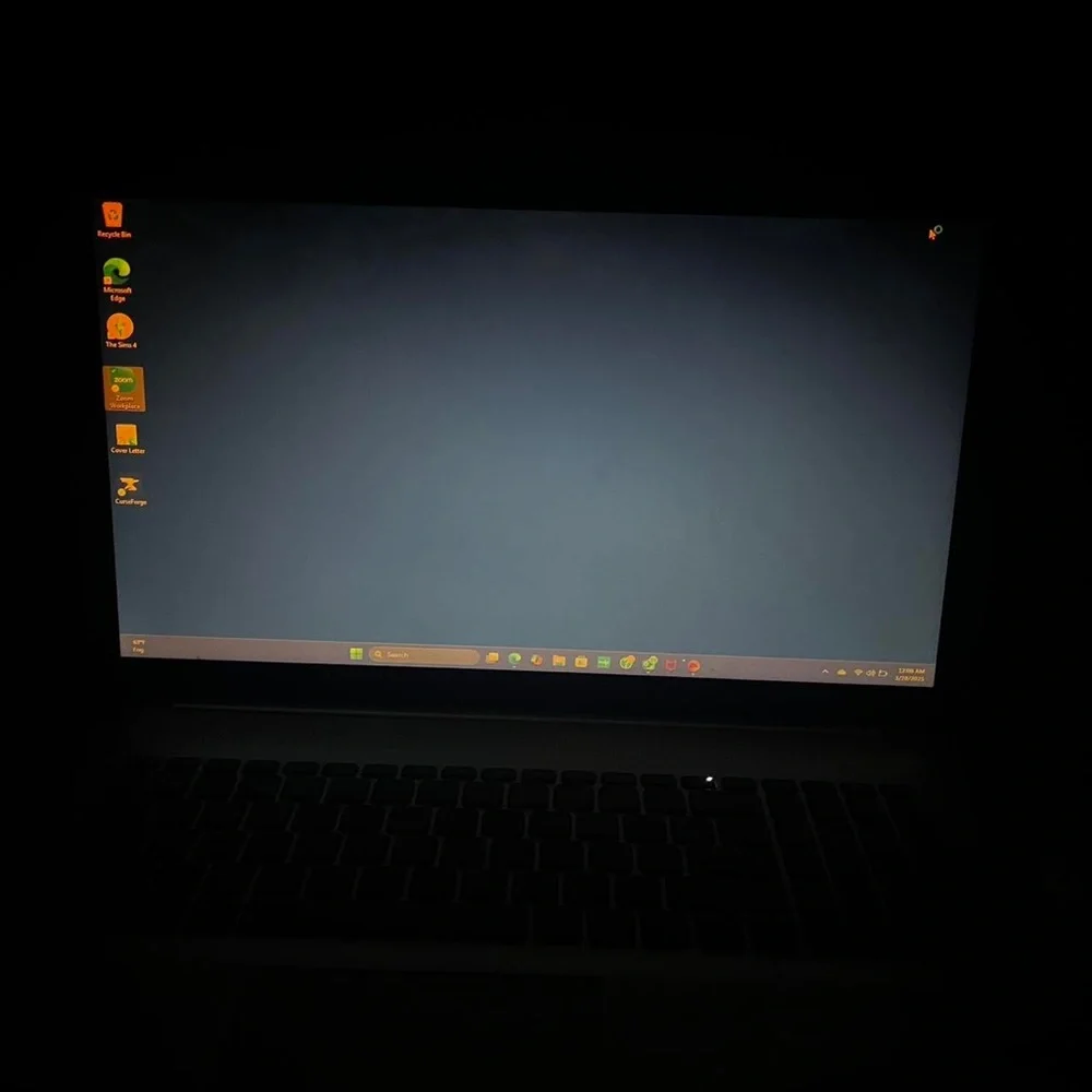 HP Silver and Black Laptop